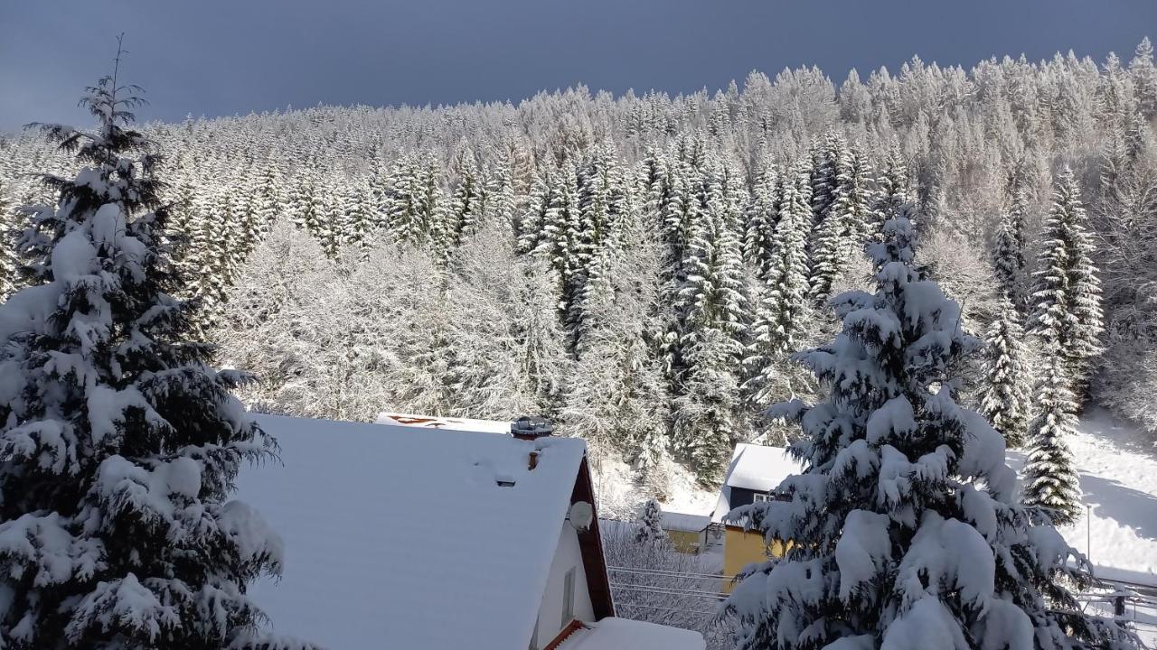 Monteur- Und Ferienwohnung Waldrauschen Fehrenbach Exterior foto