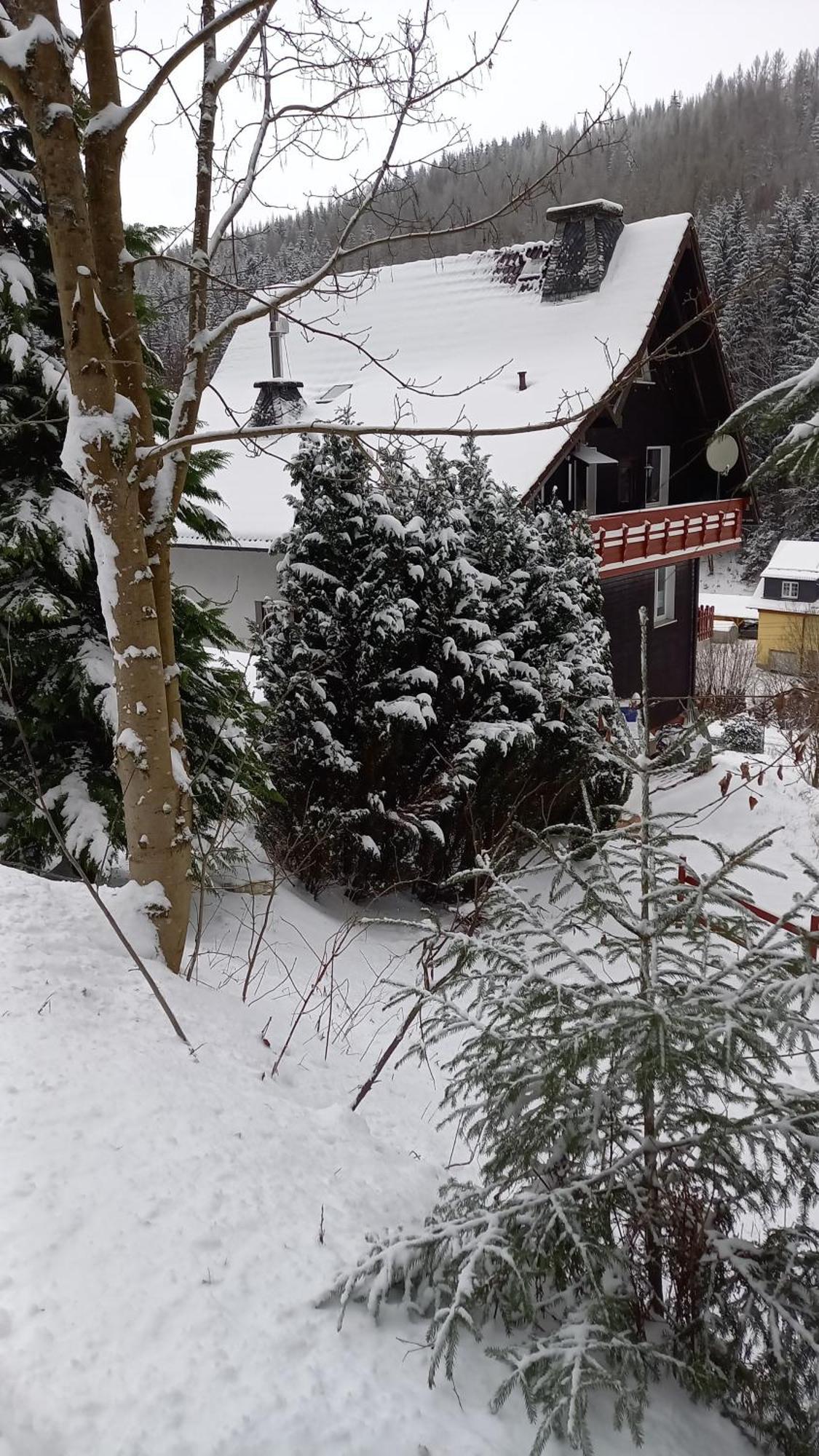 Monteur- Und Ferienwohnung Waldrauschen Fehrenbach Habitación foto