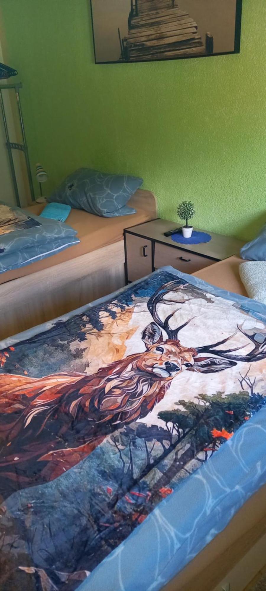 Monteur- Und Ferienwohnung Waldrauschen Fehrenbach Exterior foto